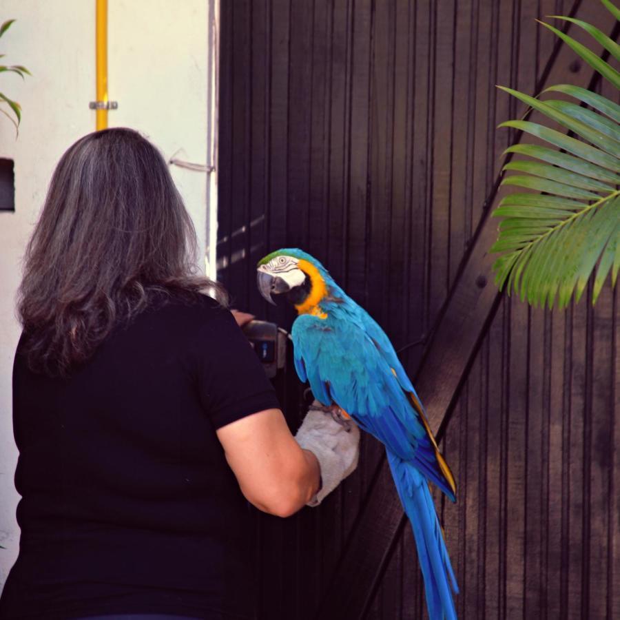 Pousada Do Bispo Hotel Cabo Frio Eksteriør billede